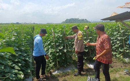 Bhabinkamtibmas Polres Malang Dampingi Warga Rawat Produktivitas Pertanian